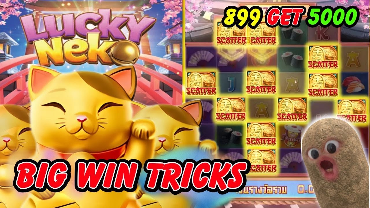 PG SOFT : Lucky Neko